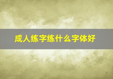 成人练字练什么字体好