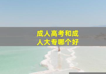 成人高考和成人大专哪个好