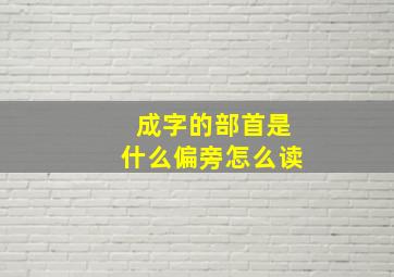 成字的部首是什么偏旁怎么读