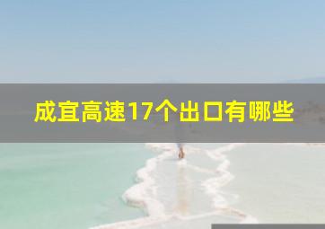 成宜高速17个出口有哪些