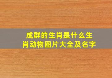 成群的生肖是什么生肖动物图片大全及名字