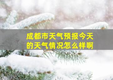 成都市天气预报今天的天气情况怎么样啊