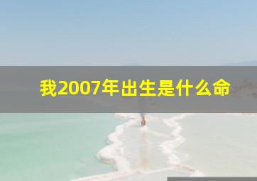 我2007年出生是什么命