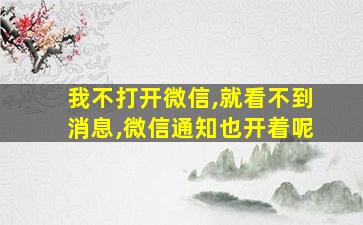 我不打开微信,就看不到消息,微信通知也开着呢