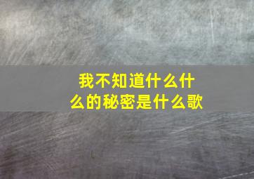 我不知道什么什么的秘密是什么歌