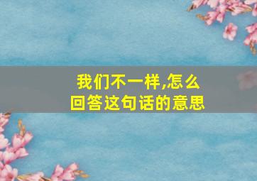 我们不一样,怎么回答这句话的意思