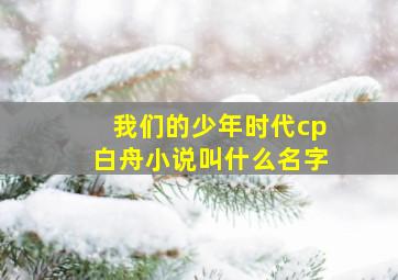 我们的少年时代cp白舟小说叫什么名字