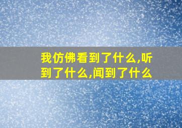 我仿佛看到了什么,听到了什么,闻到了什么