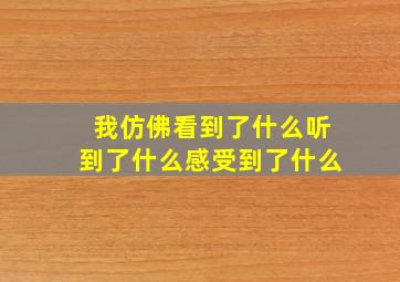 我仿佛看到了什么听到了什么感受到了什么