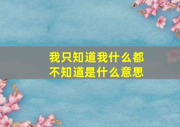 我只知道我什么都不知道是什么意思