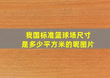 我国标准篮球场尺寸是多少平方米的呢图片