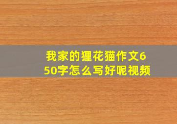 我家的狸花猫作文650字怎么写好呢视频