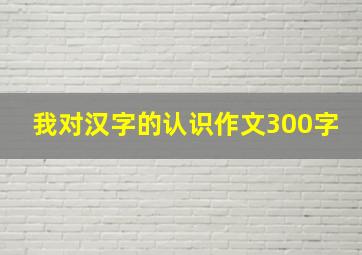 我对汉字的认识作文300字