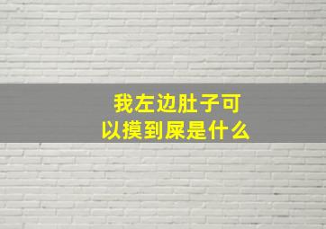 我左边肚子可以摸到屎是什么