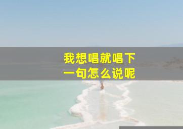 我想唱就唱下一句怎么说呢