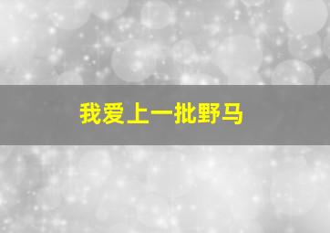 我爱上一批野马