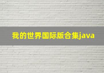 我的世界国际版合集java