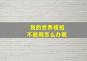 我的世界模组不能用怎么办呢