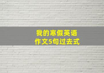 我的寒假英语作文5句过去式