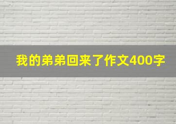 我的弟弟回来了作文400字