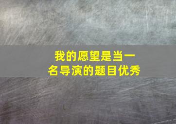 我的愿望是当一名导演的题目优秀