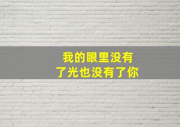 我的眼里没有了光也没有了你