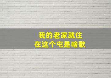 我的老家就住在这个屯是啥歌