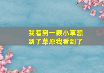 我看到一颗小草想到了草原我看到了