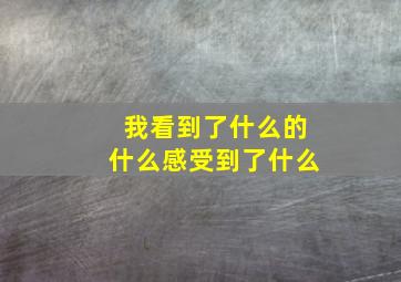 我看到了什么的什么感受到了什么