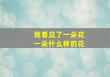 我看见了一朵花一朵什么样的花