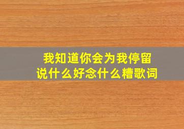 我知道你会为我停留说什么好念什么糟歌词