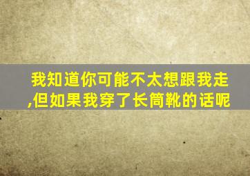 我知道你可能不太想跟我走,但如果我穿了长筒靴的话呢