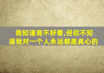 我知道我不好看,但你不知道我对一个人永远都是真心的