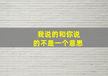 我说的和你说的不是一个意思