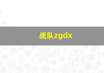 战队zgdx