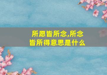 所愿皆所念,所念皆所得意思是什么