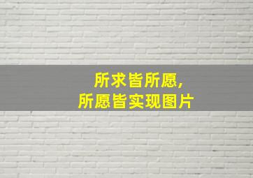 所求皆所愿,所愿皆实现图片