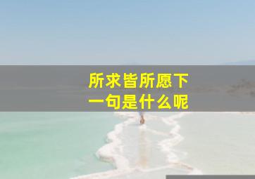 所求皆所愿下一句是什么呢