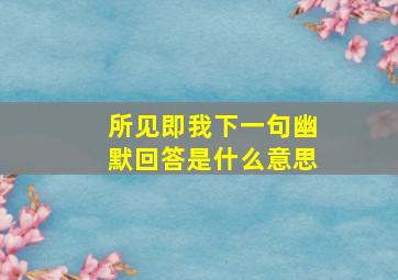 所见即我下一句幽默回答是什么意思