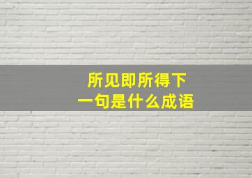 所见即所得下一句是什么成语