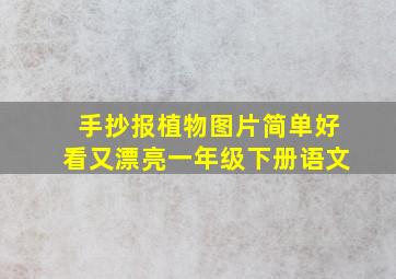 手抄报植物图片简单好看又漂亮一年级下册语文