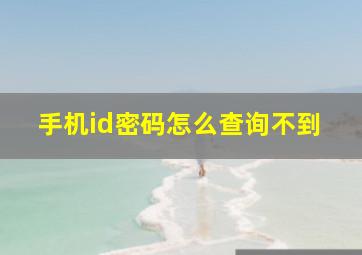 手机id密码怎么查询不到