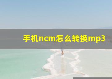 手机ncm怎么转换mp3