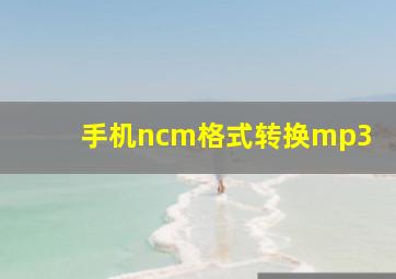 手机ncm格式转换mp3