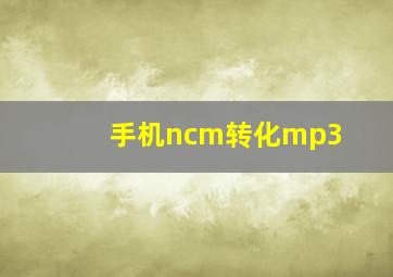 手机ncm转化mp3