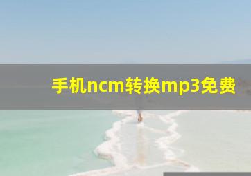 手机ncm转换mp3免费