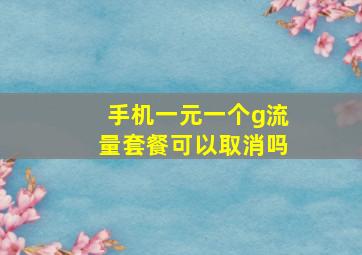 手机一元一个g流量套餐可以取消吗