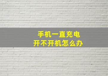 手机一直充电开不开机怎么办