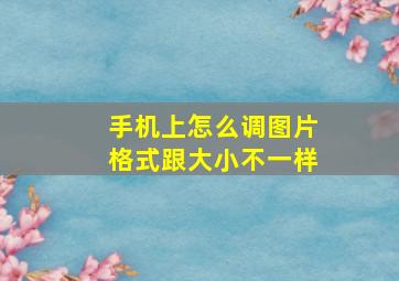 手机上怎么调图片格式跟大小不一样