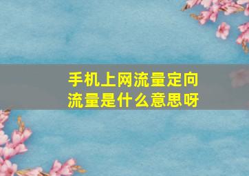 手机上网流量定向流量是什么意思呀